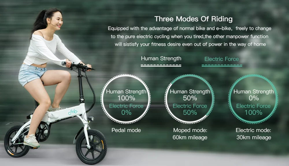 FIIDO D1 Foldable Electric Moped Bike 11.6Ah Lithium Battery